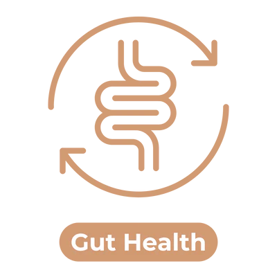 Gut Health